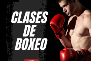 Boxeo & Defensa Personal en EDJ Chile Providencia